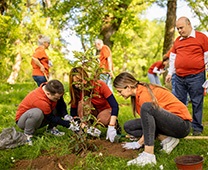 Volunteers-are-planting-trees