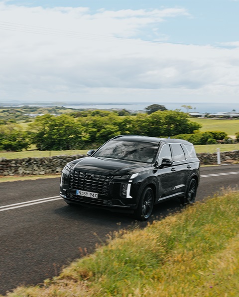 Hyundai Palisade Hyundai Palisade