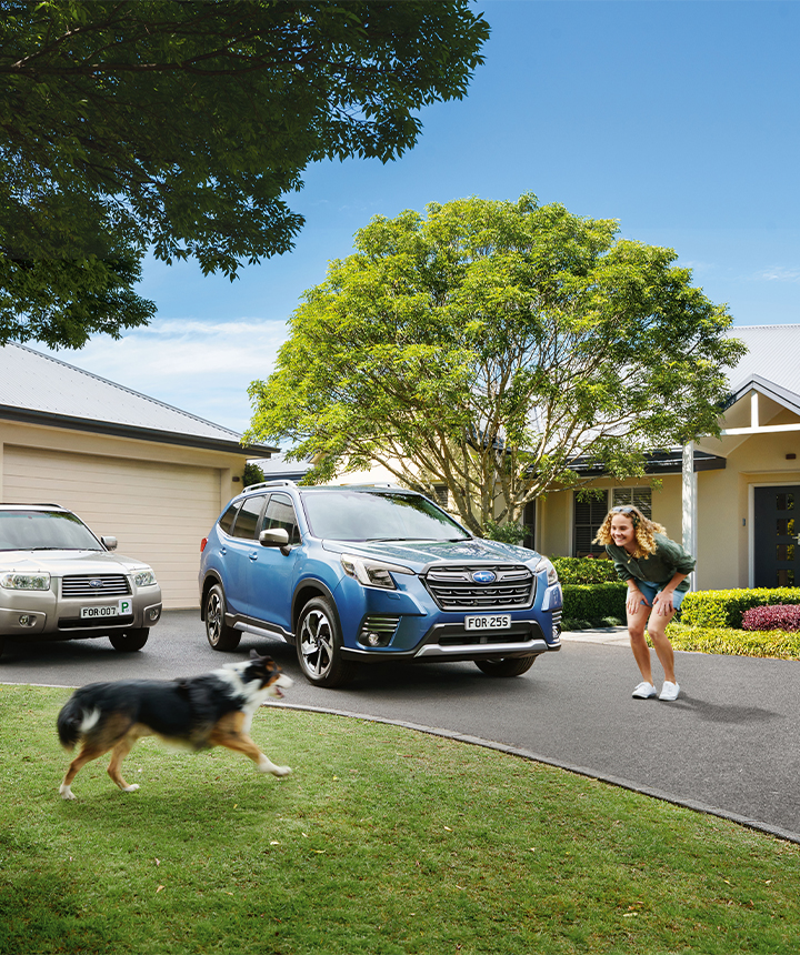 Novate used car