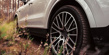 Car driving in forest