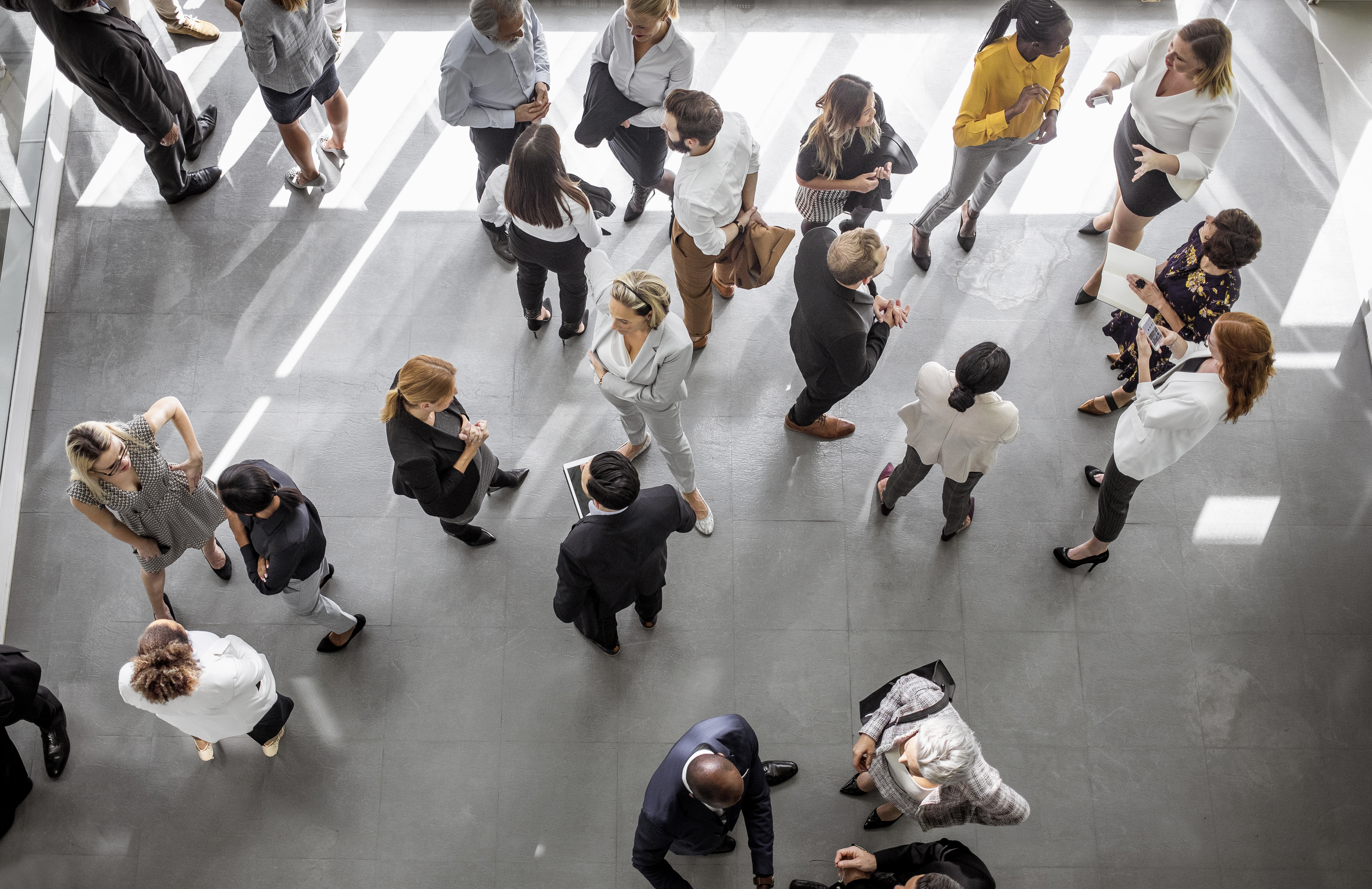 birds-eye-view-of-professionals-in-a-room
