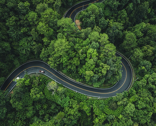 overhead-view-of-road overhead-view-of-road-with-surrounding-trees