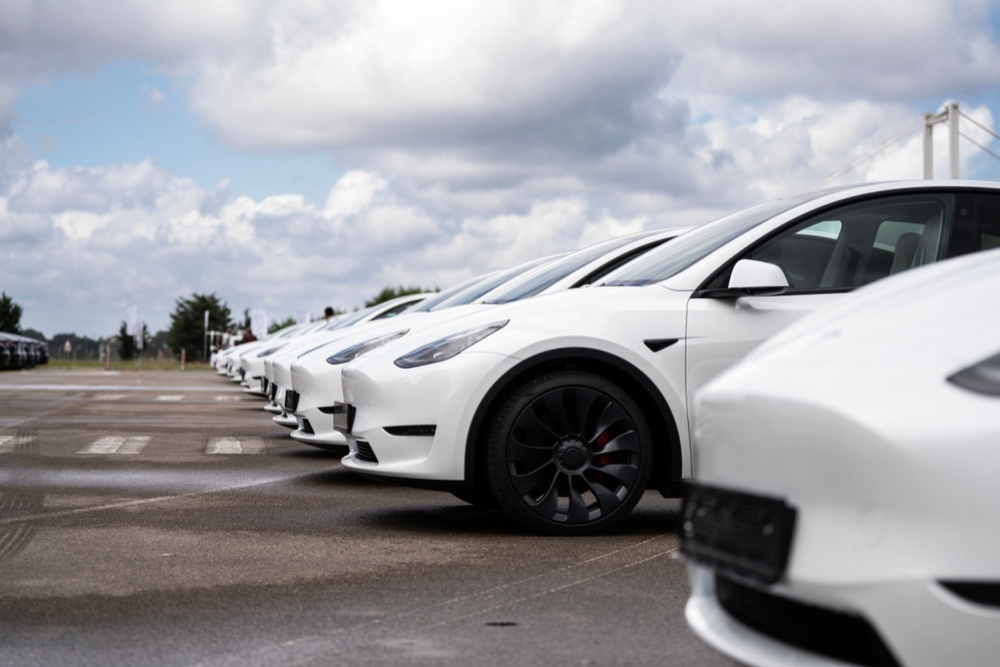 VETS Scheme Fleet Customers a fleet of white electric cars